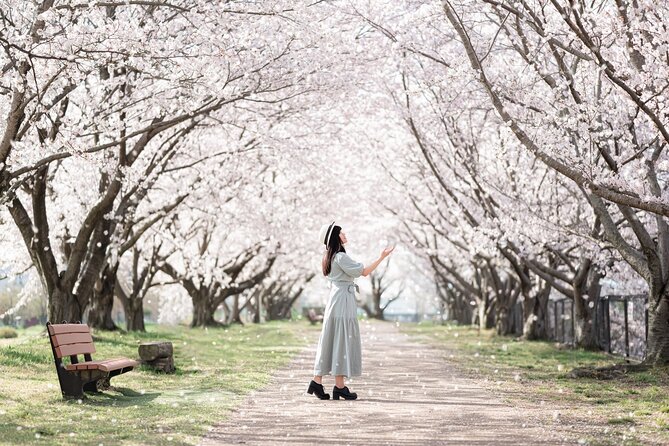 1 Hour Private Photoshoot in Osaka - Osaka Castle as your starting point