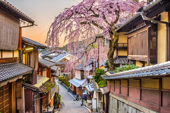3 Days Private Osaka Kyoto and Nara Tour With English Driver - Nara’s museums and gardens deserve a slower pace