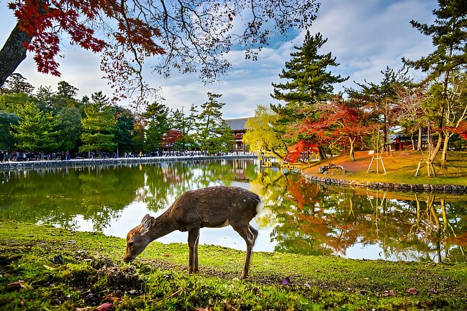 3 Days Private Osaka Kyoto and Nara Tour With English Driver - Day three: Kyoto’s famous sights, from Arashiyama to Gion
