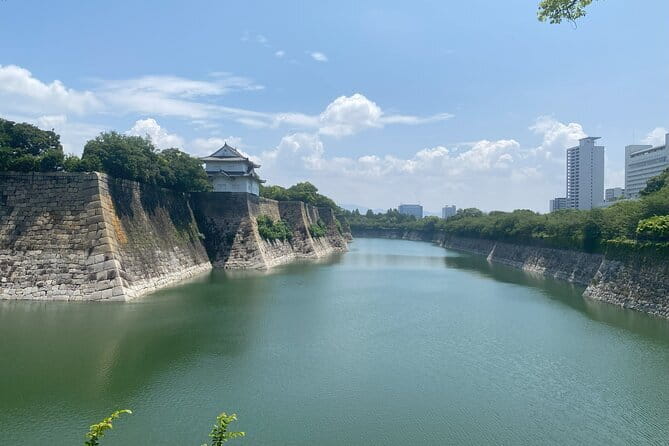 Allure of Osaka Walking Day Tour with a local guide - What the four-hour format really gives you