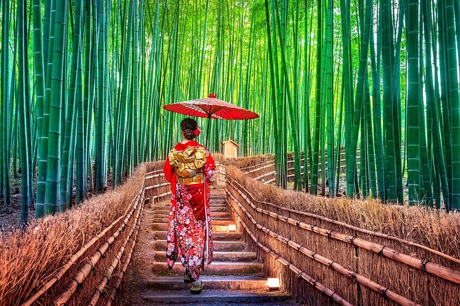 Ancient Capital Tour: Kyoto and Nara Highlights from Kyoto/Osaka - Nara Park and the famous bowing deer