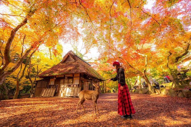 Best of Kyoto and Nara Highlights Day Tour from Osaka (7~9 spots) - Why this Osaka day trip works
