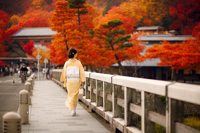 Best of Kyoto and Nara Highlights Day Tour from Osaka (7~9 spots) - Monday, Wednesday, and Friday: Uji, Byodoin, and Fushimi Inari