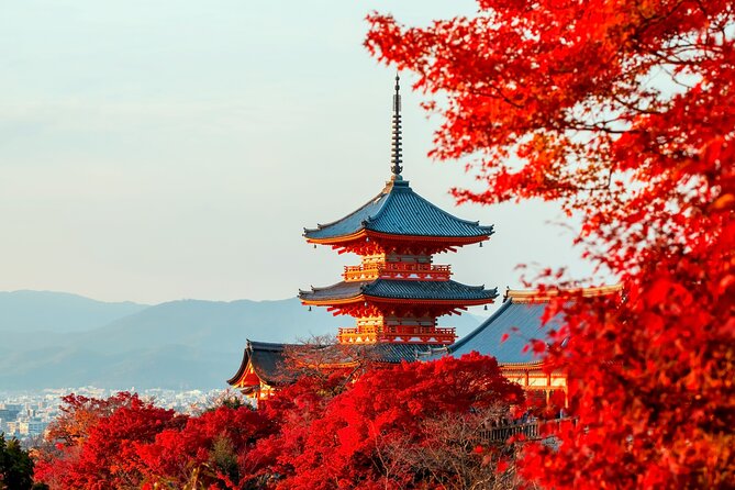 Best of Kyoto and Nara Highlights Day Tour from Osaka (7~9 spots) - Nishiki Market and Kiyomizu-dera