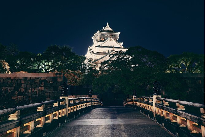 Best Private Osaka Walking Tour With A Guide 100% Personalised - What you can see and do along the route