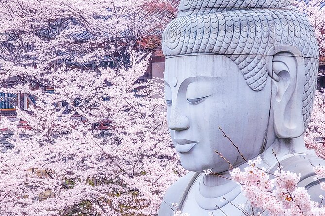 Cherry Blossom Buddha and Mt.Yoshino with Strawberry Picking Tour - Key points at a glance