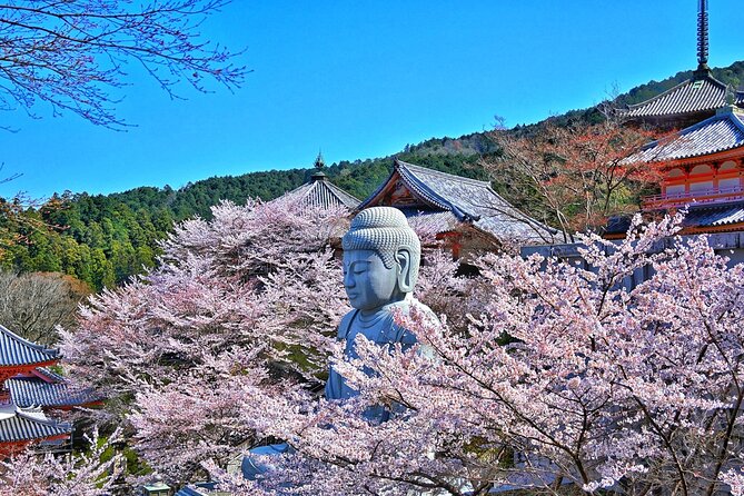 Cherry Blossom Buddha and Mt.Yoshino with Strawberry Picking Tour - Starting at Mainichi Newspaper Building in Umeda