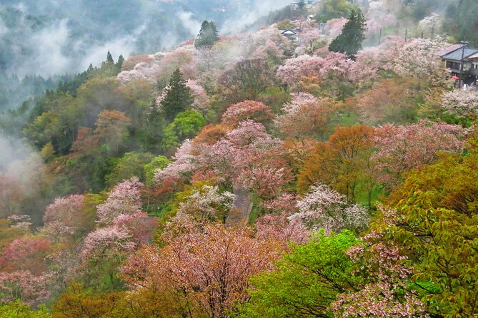 Cherry Blossom Buddha and Mt.Yoshino with Strawberry Picking Tour - The short stop at Roadside Station Katsuragi