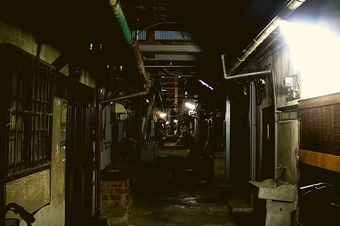 Deep Backstreet Osaka Tours (Option to add Dinner) - Meeting near Daikokucho Station at 5:30 pm