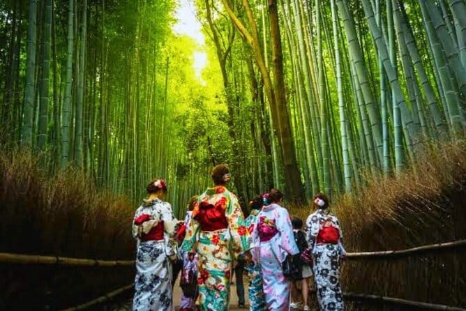 Discover Himeji, Kobe and Nara from Osaka - What the guide adds, and where the format is lighter