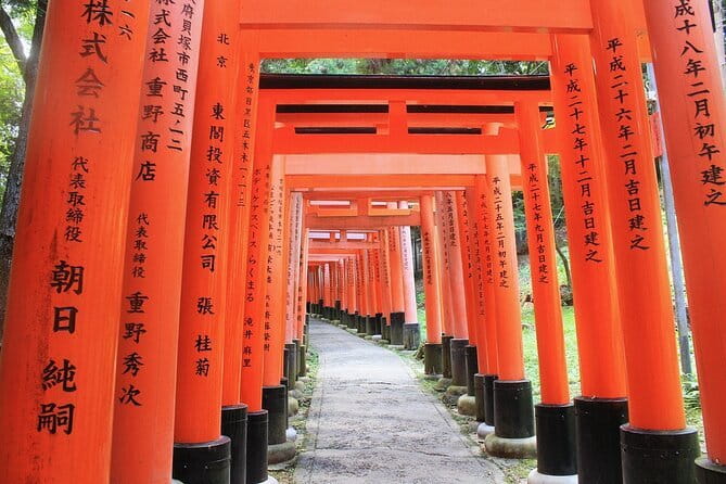 Discover Himeji, Kobe and Nara from Osaka - Physical effort and what to bring