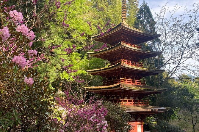 Exclusive Luxury Day Tours Serene Nara - A private route through Nara, not a race through 13 stops