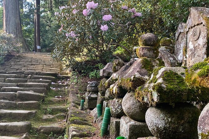 Exclusive Luxury Day Tours Serene Nara - Naramachi, machiya houses, and a sake stop