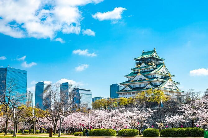 Explore Osaka | Private Tour - Local English Driver(guide option) - Key points to know before booking