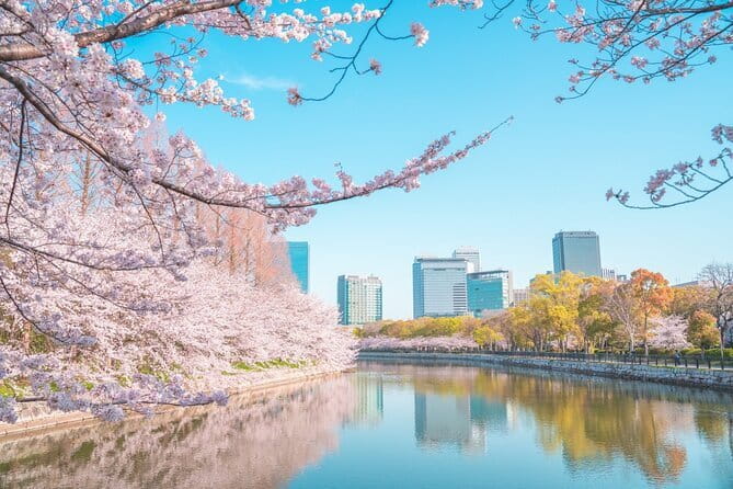 Explore Osaka | Private Tour - Local English Driver(guide option) - A private Osaka day without the train changes