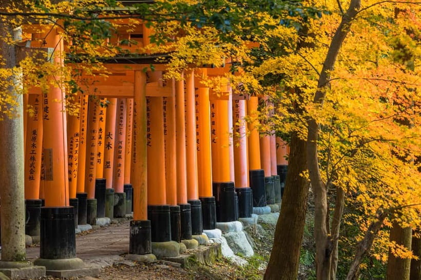 From Kyoto/Osaka: Kyoto Top Highlights 1-Day Guided Bus Tour - Arashiyama and the Sagano Bamboo Forest