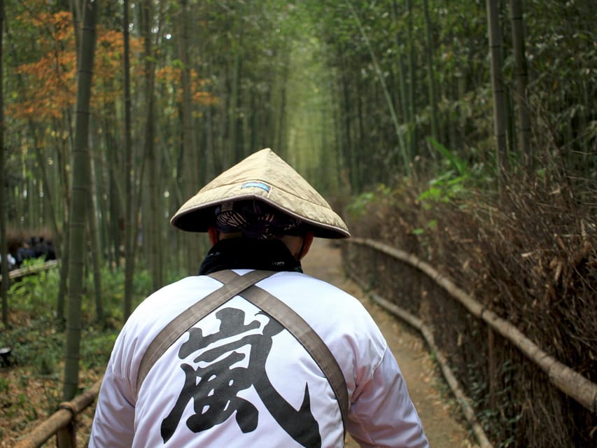From Kyoto/Osaka: Kyoto Top Highlights 1-Day Guided Bus Tour - What the guides add to the day