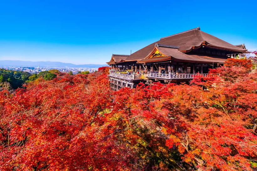 From Kyoto/Osaka: Kyoto Top Highlights 1-Day Guided Bus Tour - Lunch, walking, and what to pack