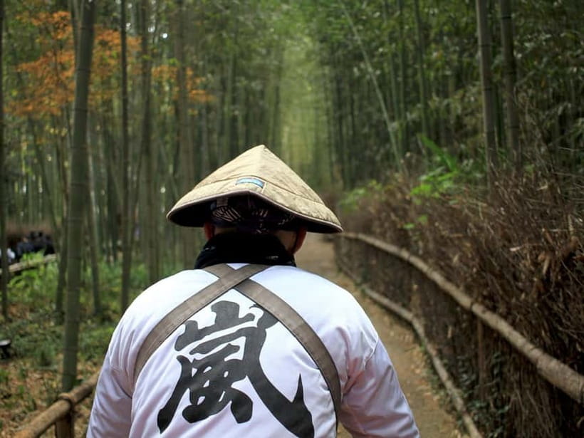 From Kyoto/Osaka: Kyoto Top Highlights 1-Day Guided Bus Tour - Fushimi Inari and its famous torii gates