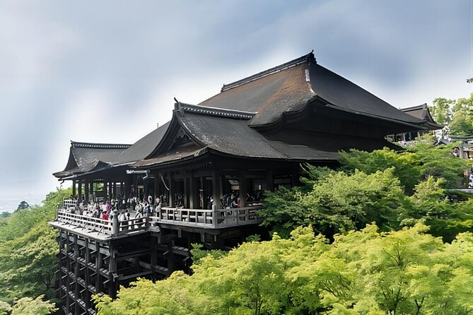 From Osaka: 10-hour Private Customizable Tour to Kyoto - Hanamikoji Street and the Gion atmosphere