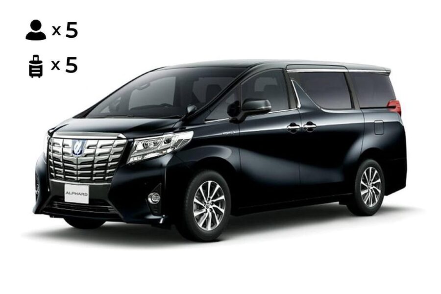 From Osaka: 10-hour Private Customized Tour to Nara - Why a private car can make Nara easier