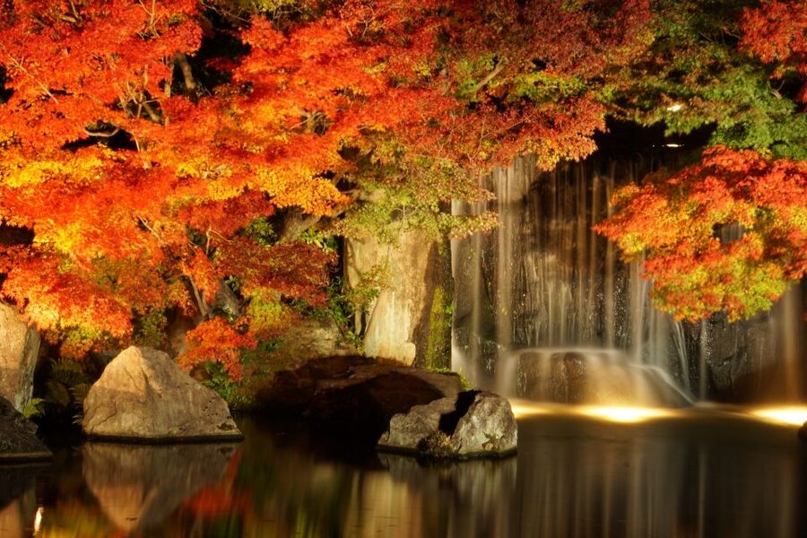 From Osaka: Himeji Castle, Arima Onsen & Mt. Rokko Day Tour - Should you book this Himeji and Arima tour?