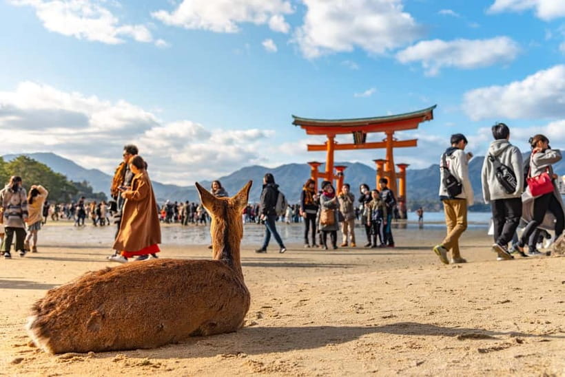 From Osaka: Hiroshima and Miyajima Day Trip by Bullet Train - Why this day trip works from Osaka