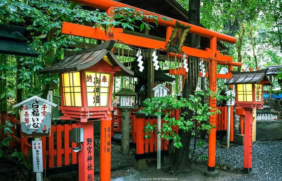 From Osaka: Kyoto, Nara, Fushimi Inari & Arashiyama Day Tour - Meeting the Deer at Nara Park