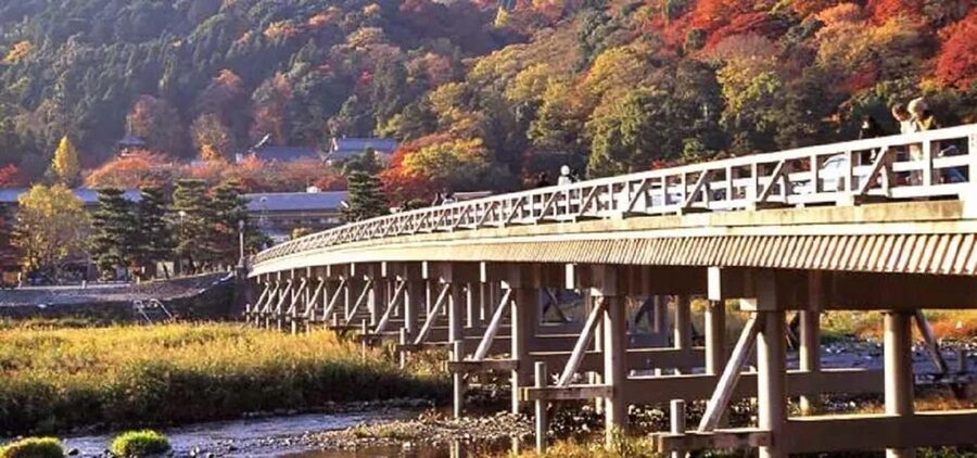 From Osaka: Kyoto, Nara, Fushimi Inari & Arashiyama Day Tour - The Bus Ride Back to Osaka