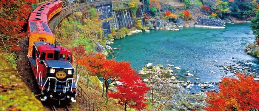 From Osaka: Kyoto, Nara, Fushimi Inari & Arashiyama Day Tour - Guides, Group Pace, and What to Expect