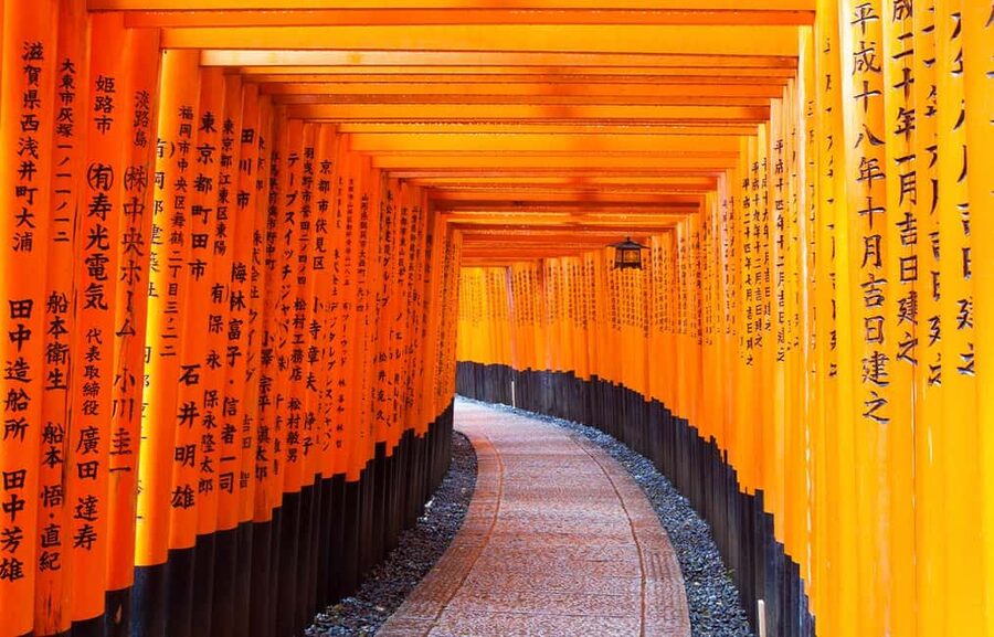 From Osaka: Kyoto, Nara, Fushimi Inari & Arashiyama Day Tour - Who Should Book This Tour