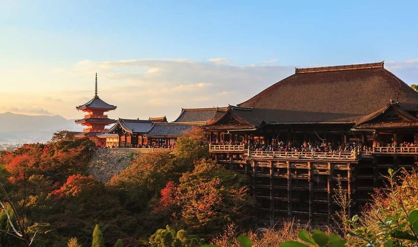 From Osaka: Nara Deer & Kyoto Kiyomizudera Sightseeing Tour - Is $69 good value?