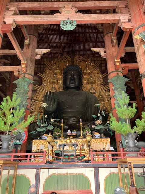 From Osaka: Nara Private Tour with Meet-Up at Your Hotel - Higashimuki Shopping Street: a practical first look