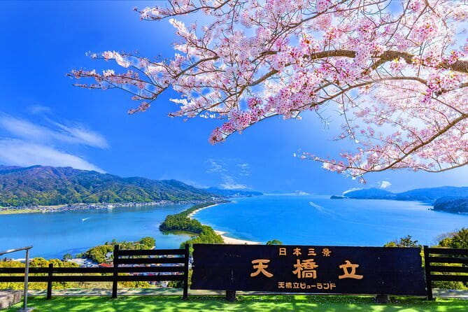 From Osaka or Kyoto: Full Day Sightseeing Tour of Kyoto - Is $65.90 good value?