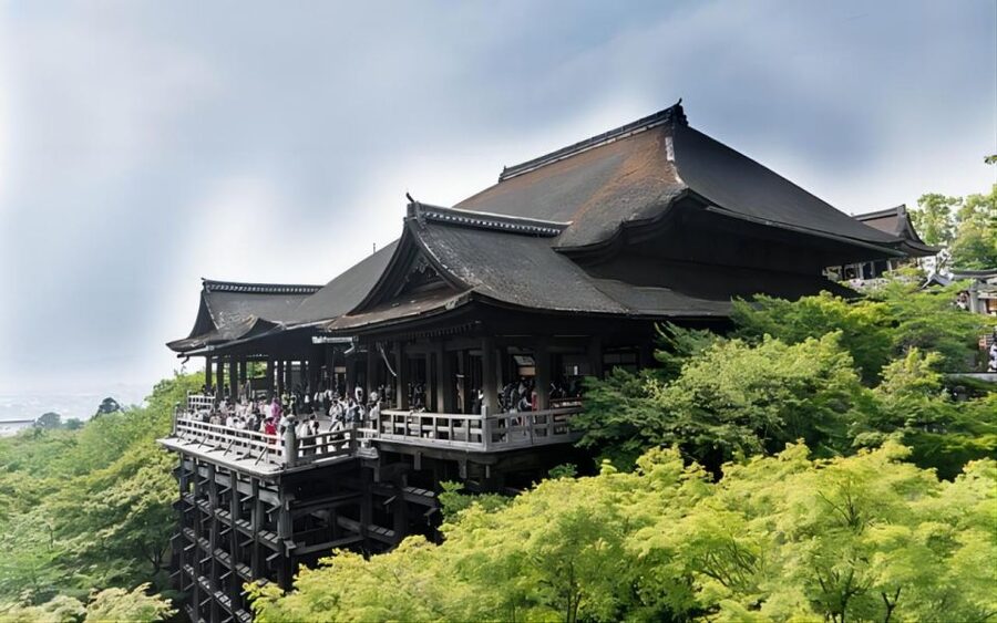 From Osaka: Private Customizable Day Tour to Kyoto - Custom planning: useful freedom with clear limits