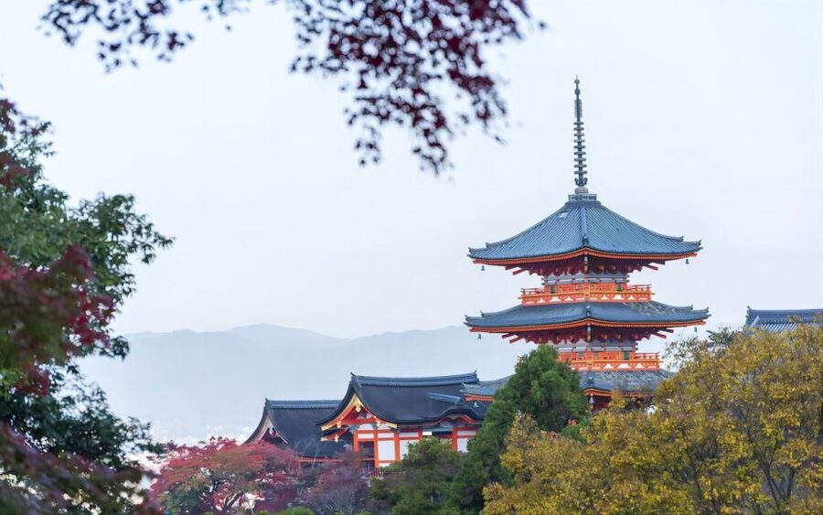 From Osaka: Private Customizable Day Tour to Kyoto - Who should book this Kyoto day tour?