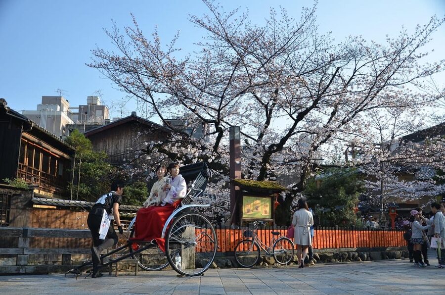 From Osaka: Private Customized Day Tour to Kyoto - Communication is the main question