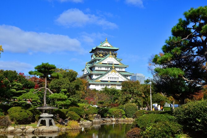 Full Day Guided Tour in Osaka by Van - Quick points to know