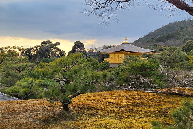 Full Day Guided Tour to Kyoto Arashiyama from Osaka by Van - What the $114.01 price really covers