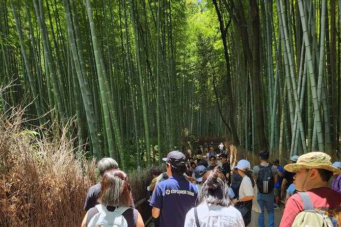 Full Day Guided Tour to Kyoto Arashiyama from Osaka by Van - Who will enjoy this Kyoto day trip
