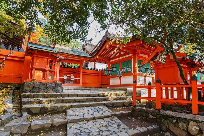 Full Day Guided Tour to Nara from Osaka by Van - Key points to know before booking