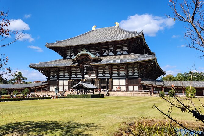 Full Day Guided Tour to Nara from Osaka by Van - Why this Nara day trip works well from Osaka