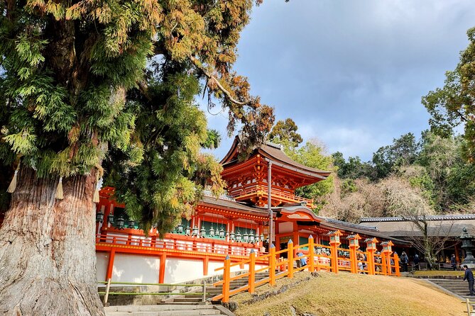 Full Day Guided Tour to Nara from Osaka by Van - From Osaka to Nara Park by comfortable van