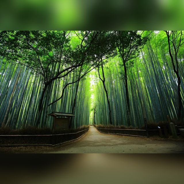 Full day Highlights destination of Kyoto with Hotel Pickup - Gion and the old geisha quarter