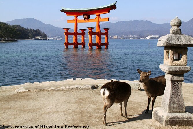 Full Day Hiroshima and Miyajima Tour by Bullet Train from Osaka - Should you book it?