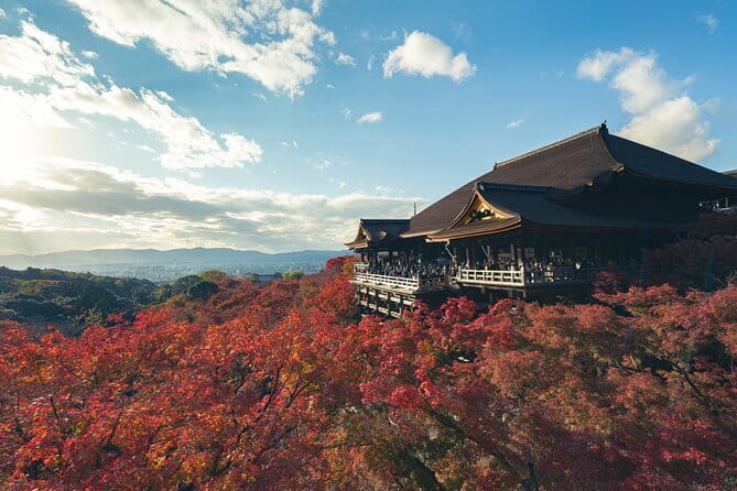Full Day Tour of Kyoto with Private Transportation - Why private transport matters in Kyoto