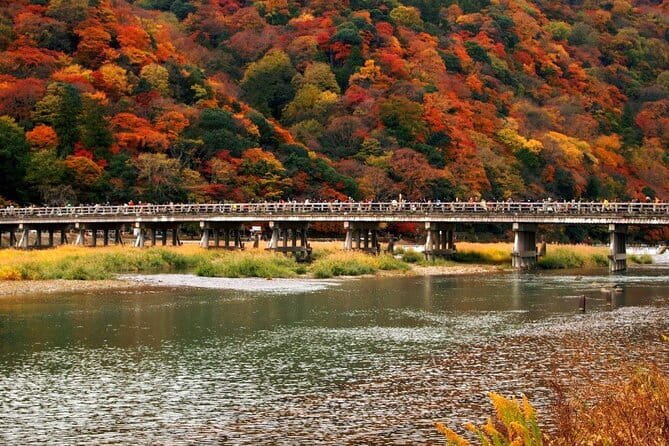 Full Day Tour of Kyoto with Private Transportation - Guides, food, and the value of flexibility