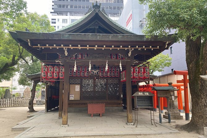 Guided Tour of Some Attractions in Osaka by Private Car - Why this private Osaka day works