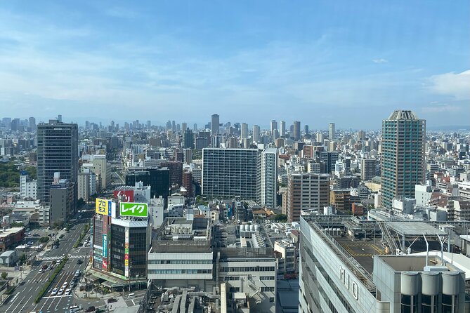 Guided Tour of Some Attractions in Osaka by Private Car - Shitennoji Temple and 1,400 years of Buddhist history