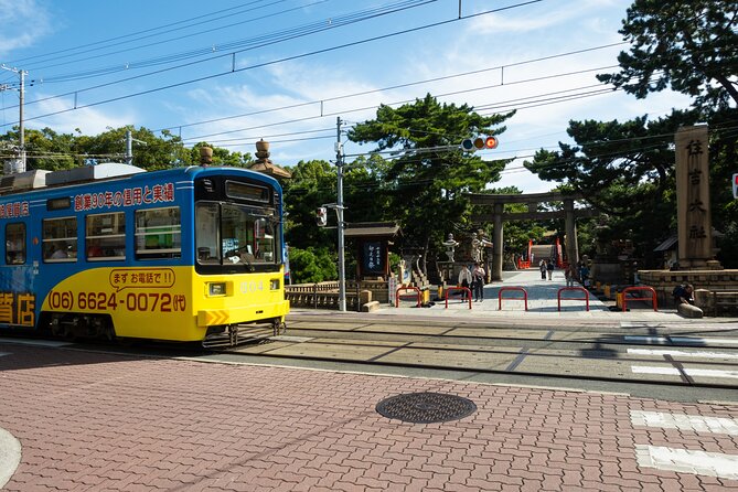 Half day Osaka Bay Area Cycling with E-Assist Bicycle Tour - Key points to know before booking